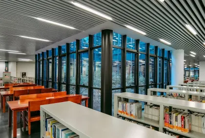 كازينو ليون وينز تطبيق الهاتف المحمول